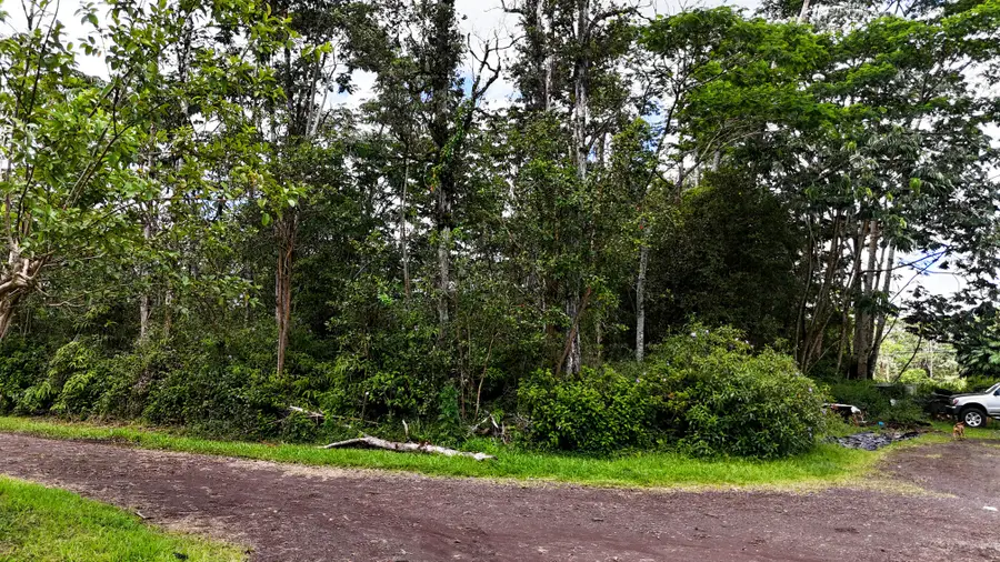 Silversword Ct, Kurtistown, HI 96760 - #3