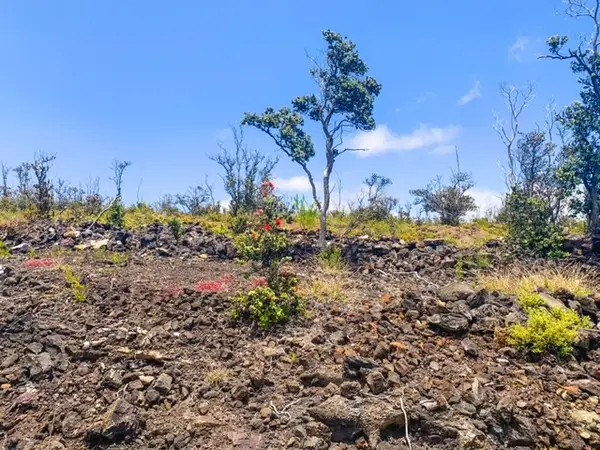 Pineapple Pkwy, Ocean View, HI 96737
