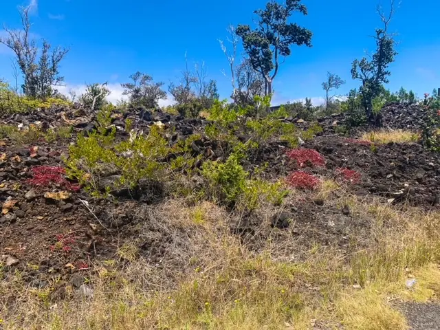 Pineapple Pkwy, Ocean View, HI 96737 - #2