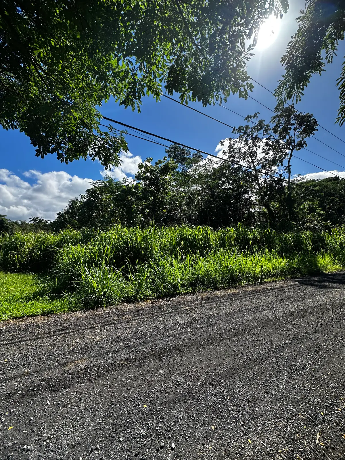13th Ave, Keaau, HI 96749 - #1