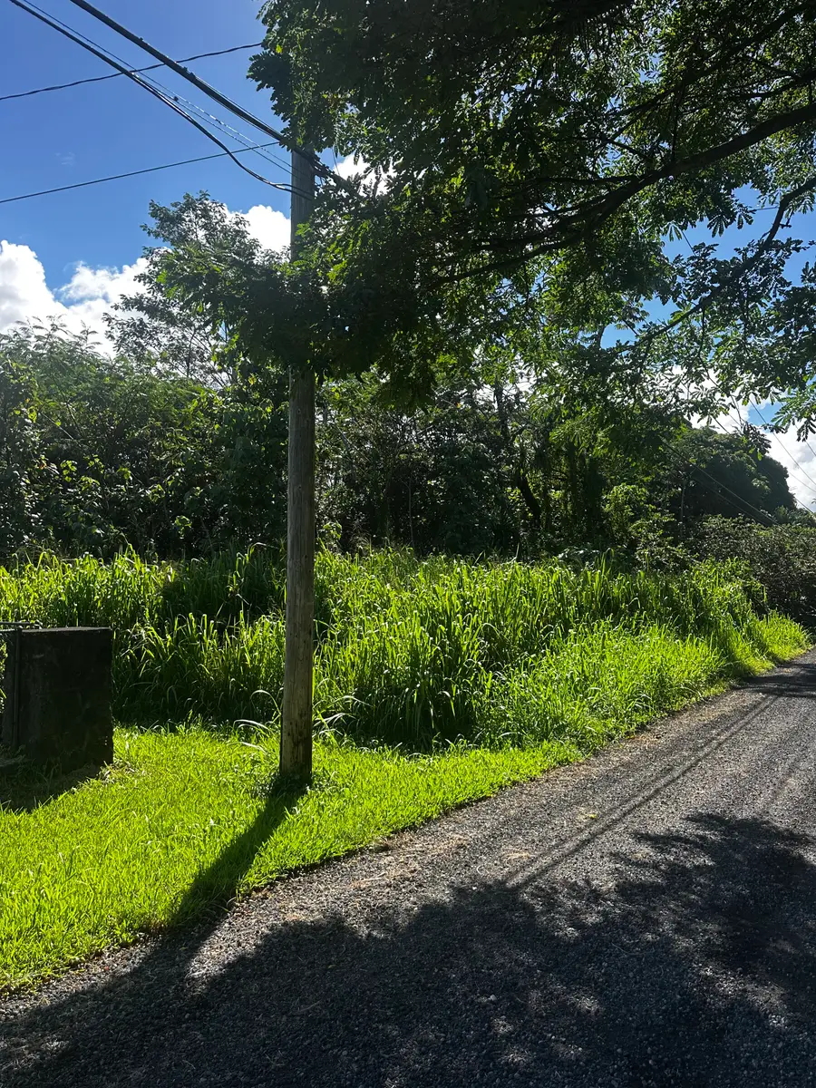 13th Ave, Keaau, HI 96749 - #2