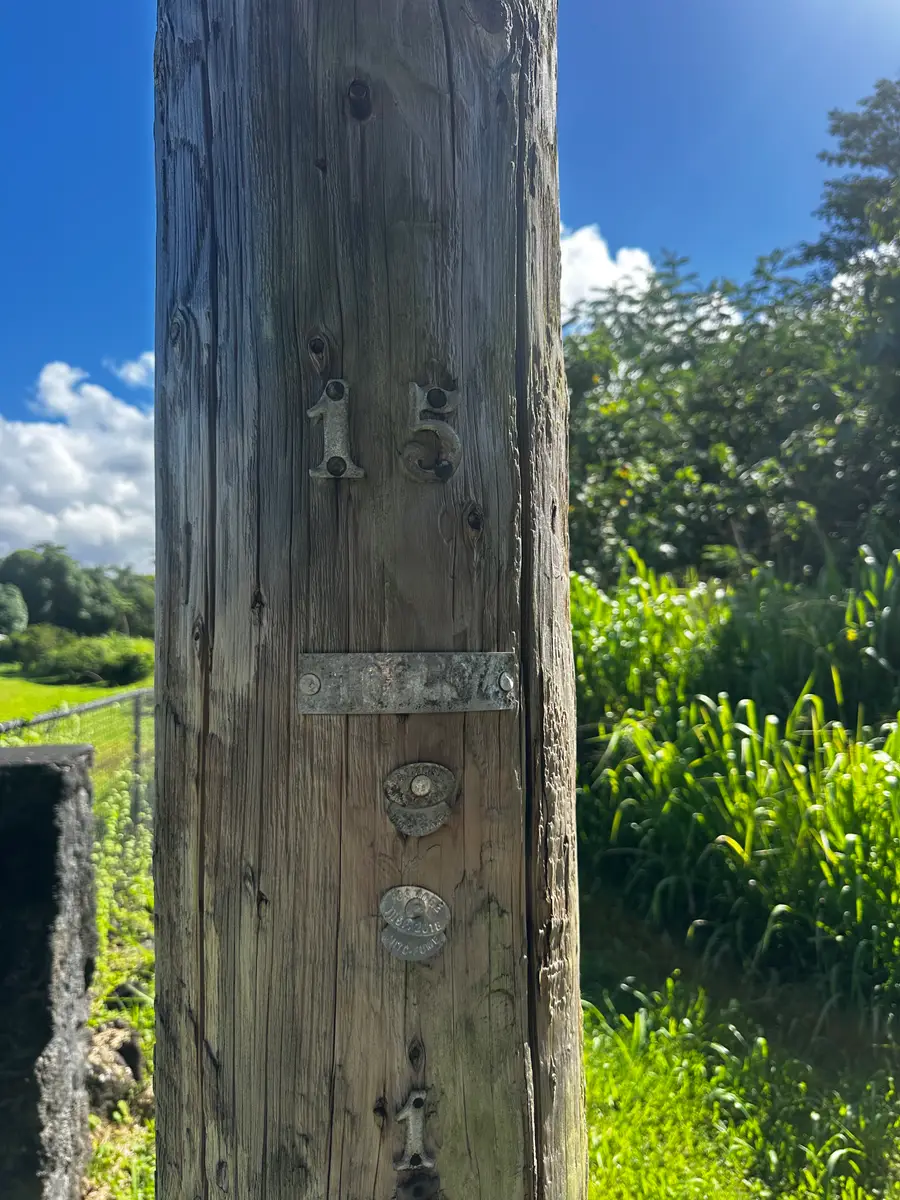 13th Ave, Keaau, HI 96749 - #3