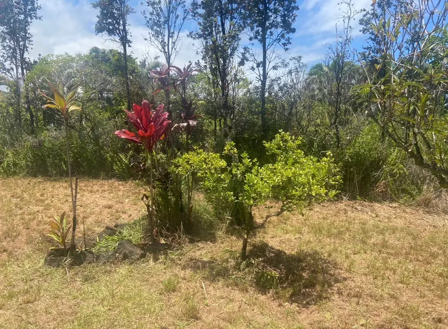 15-1597 4th Ave, Keaau, HI 96749 - #3