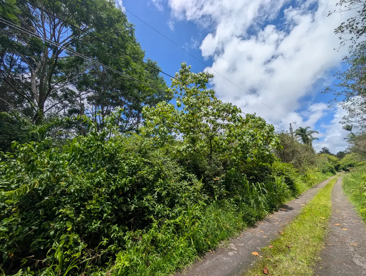 Keola Pl, Mountain View, HI 96771 - #1