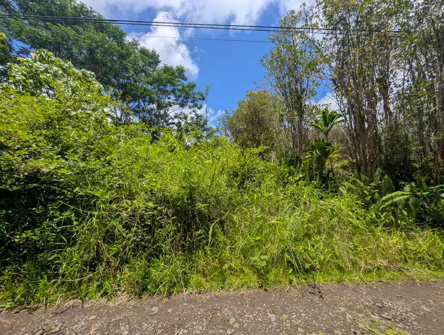 Keola Pl, Mountain View, HI 96771 - #3
