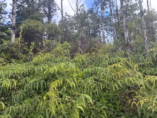 14-3516 Church Rd, Pahoa, HI 96778