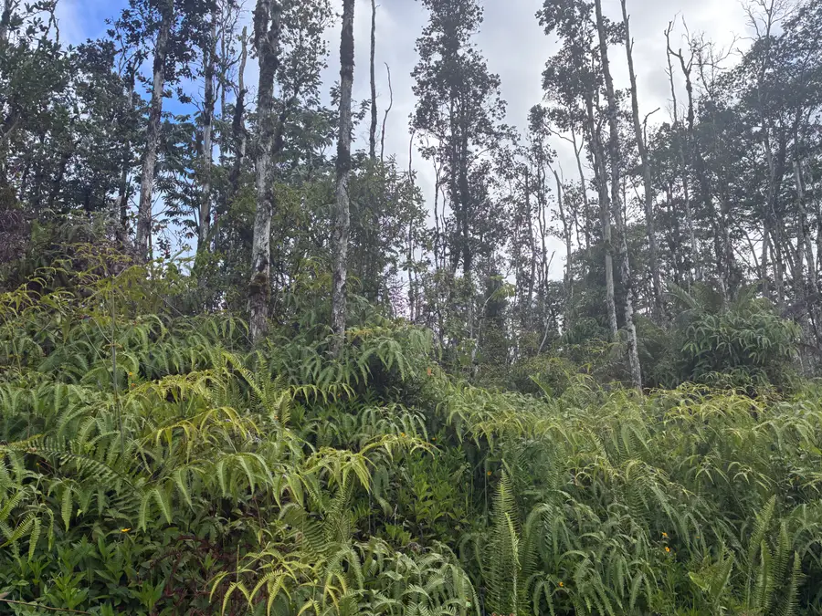 14-3516 Church Rd, Pahoa, HI 96778 - #2