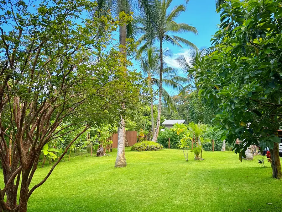 13-134 Puakenikeni Pl, Pahoa, HI 96778 - #3