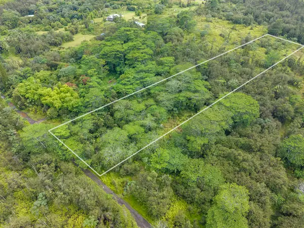 Road 10 (poouli), Kurtistown, HI 96760