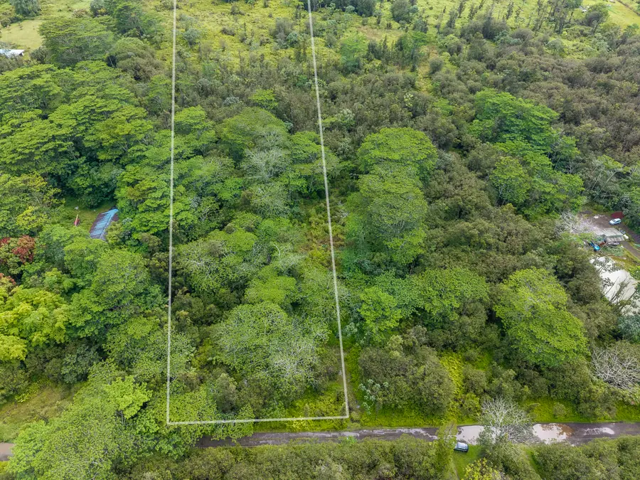 Road 10 (poouli), Kurtistown, HI 96760 - #2