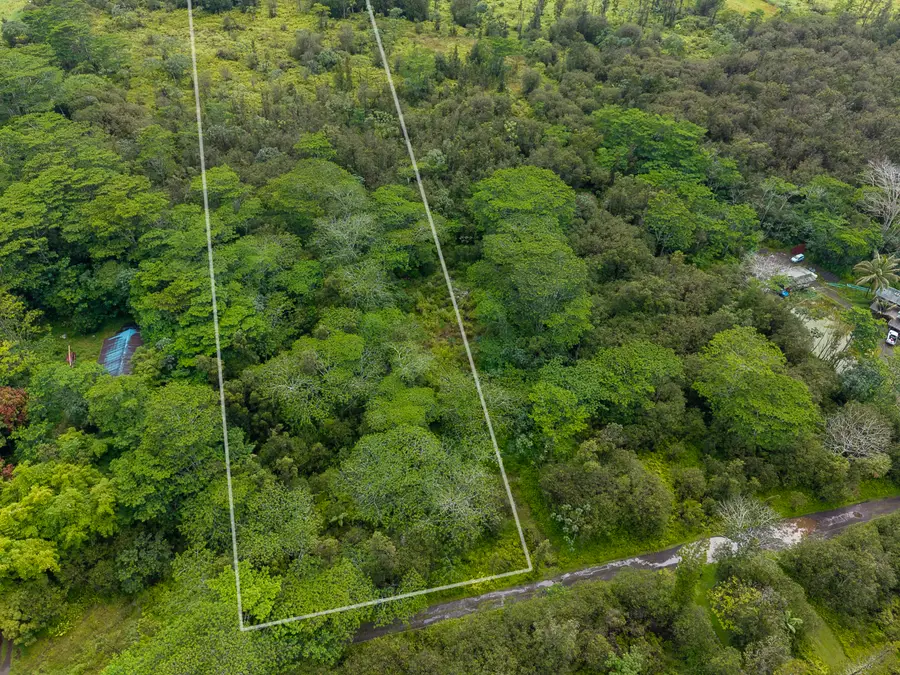 Road 10 (poouli), Kurtistown, HI 96760 - #3