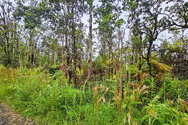 Paniolo St #Lot 32, Mountain View, HI 96771