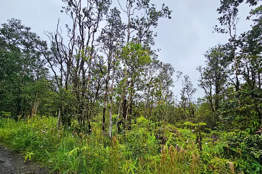 Paniolo St #Lot 32, Mountain View, HI 96771 - #3
