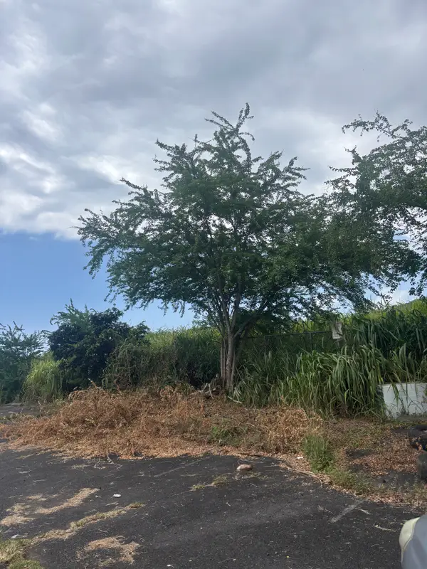 82-5788 Lower Napoopoo Rd, Captain Cook, HI 96704