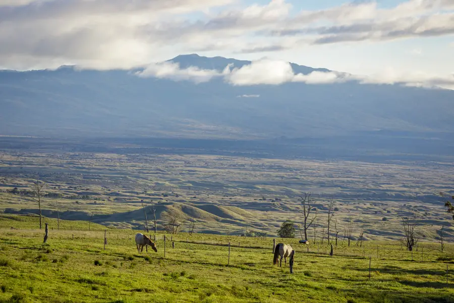 Palekaiko Rd, Kamuela, HI 96743 - #2