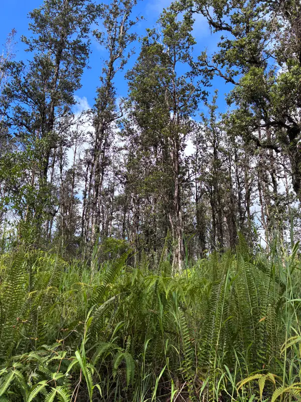 Road 6 (ooaa), Kurtistown, HI 96760
