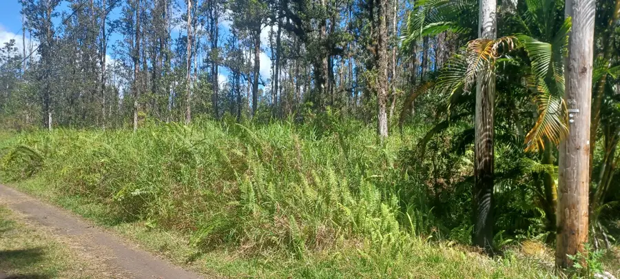 Road 6 (ooaa), Kurtistown, HI 96760 - #2
