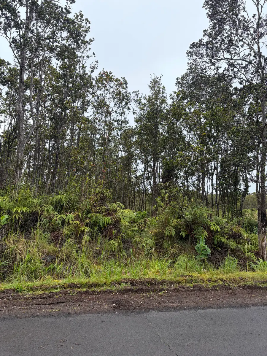 Mokuna St, Volcano, HI 96785 - #3