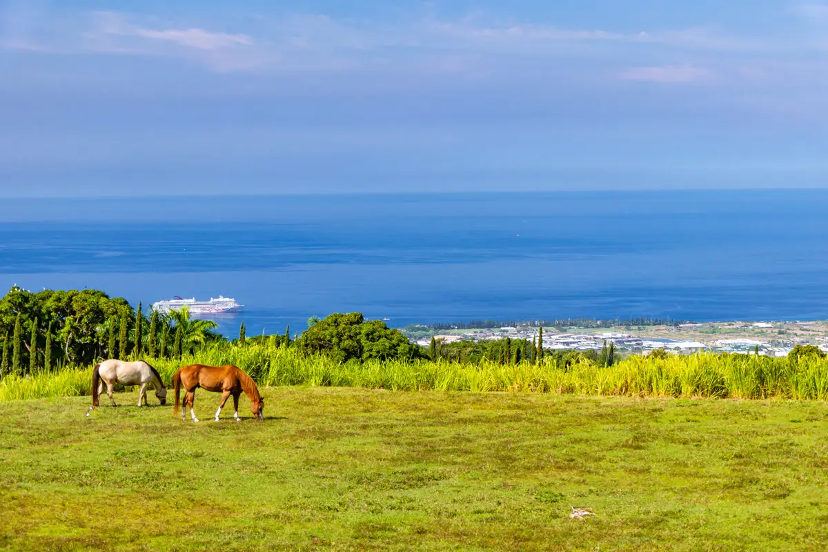 74-4990 Mamalahoa Highway, Holualoa, HI 96725 - #1