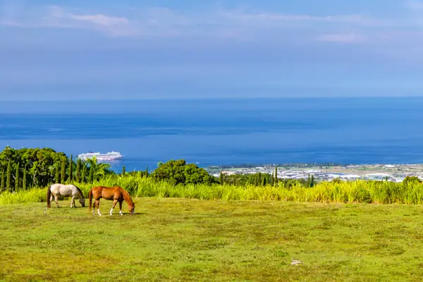 74-4990 Mamalahoa Highway, Holualoa, HI 96725