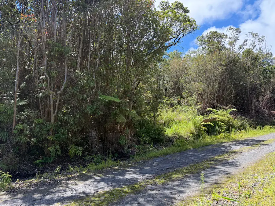 Road 7, Mountain View, HI 96771 - #3