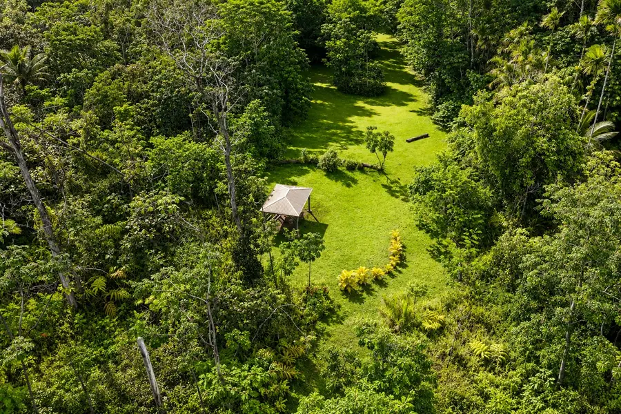 13-3606 Pomaikai St, Pahoa, HI 96778 - #2