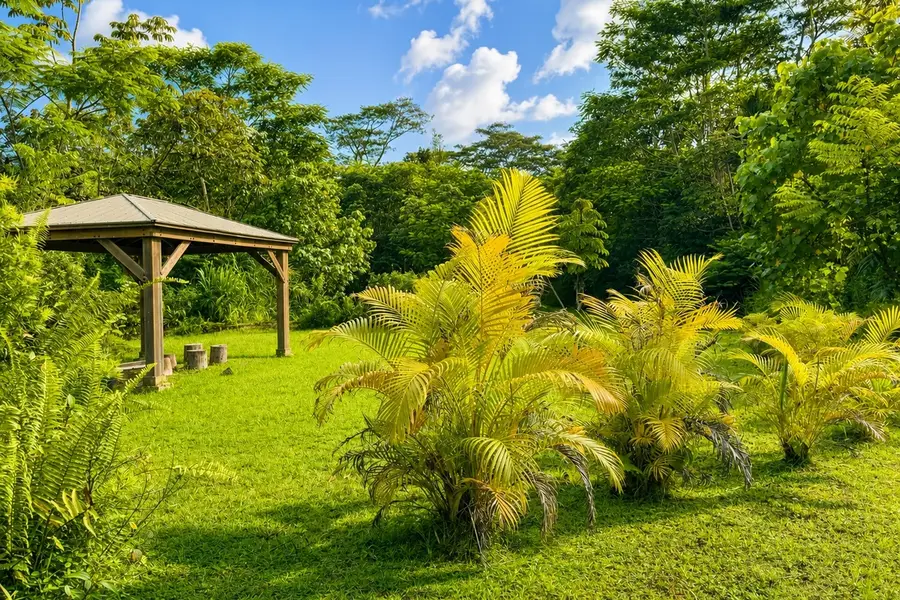 13-3606 Pomaikai St, Pahoa, HI 96778 - #3