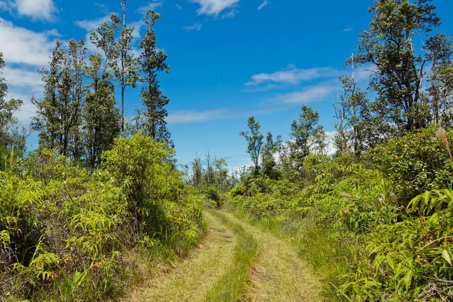 16-1660 39th Ave, Keaau, HI 96749 - #2