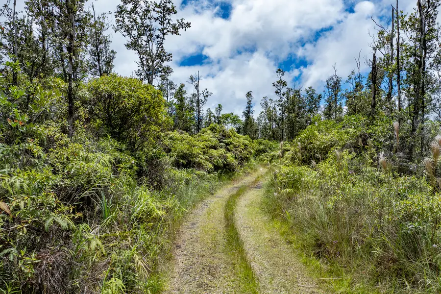 16-1660 39th Ave, Keaau, HI 96749 - #3