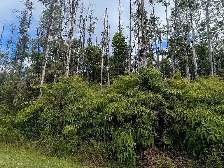 Seadrift Rd, Pahoa, HI 96778 - #2