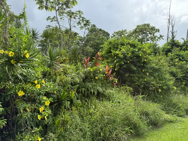 Akule St, Pahoa, HI 96778