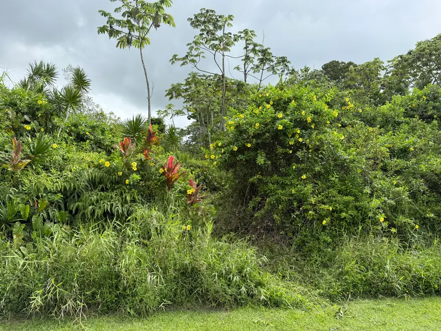 Akule St, Pahoa, HI 96778 - #2