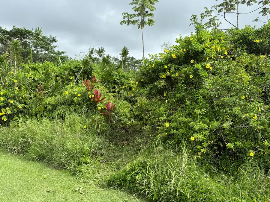 Akule St, Pahoa, HI 96778 - #3