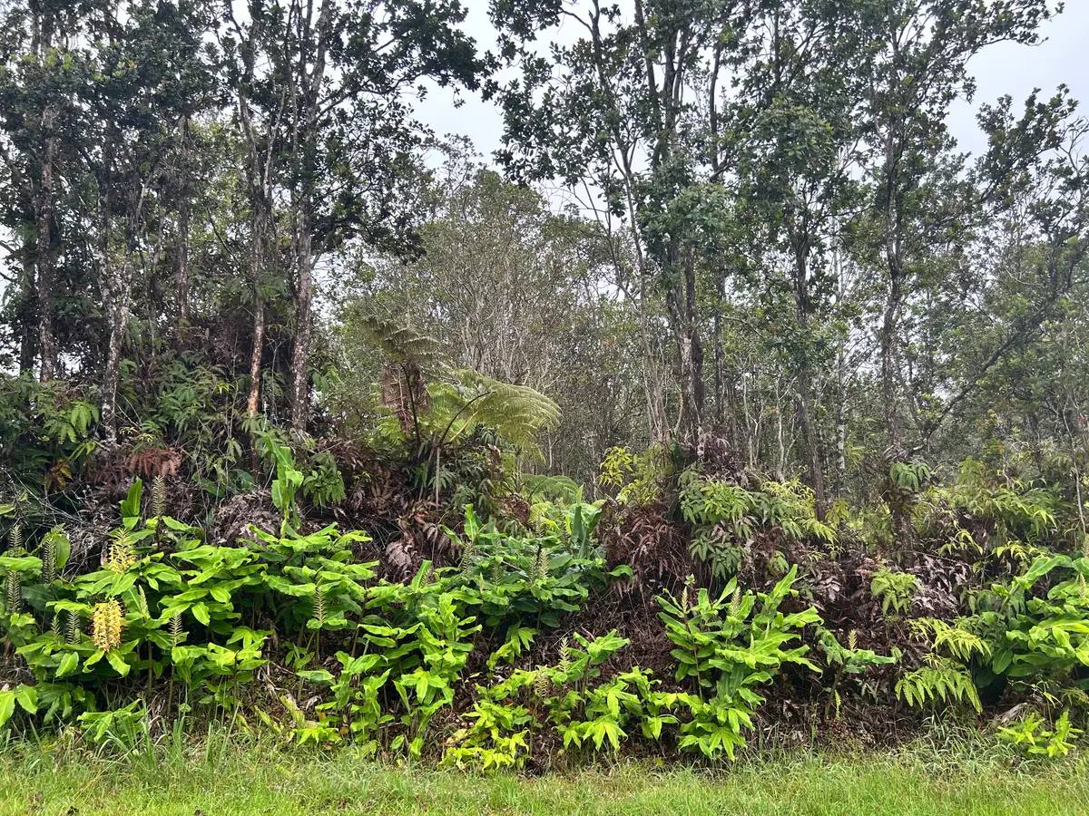 Alaula St, Volcano, HI 96785 - #1