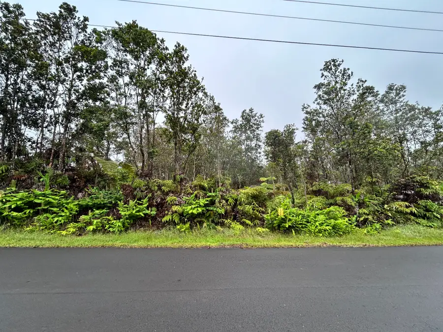 Alaula St, Volcano, HI 96785 - #3