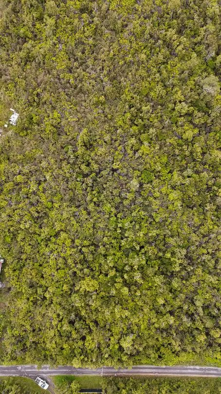 Mailenani Rd, Volcano, HI 96785 - #3
