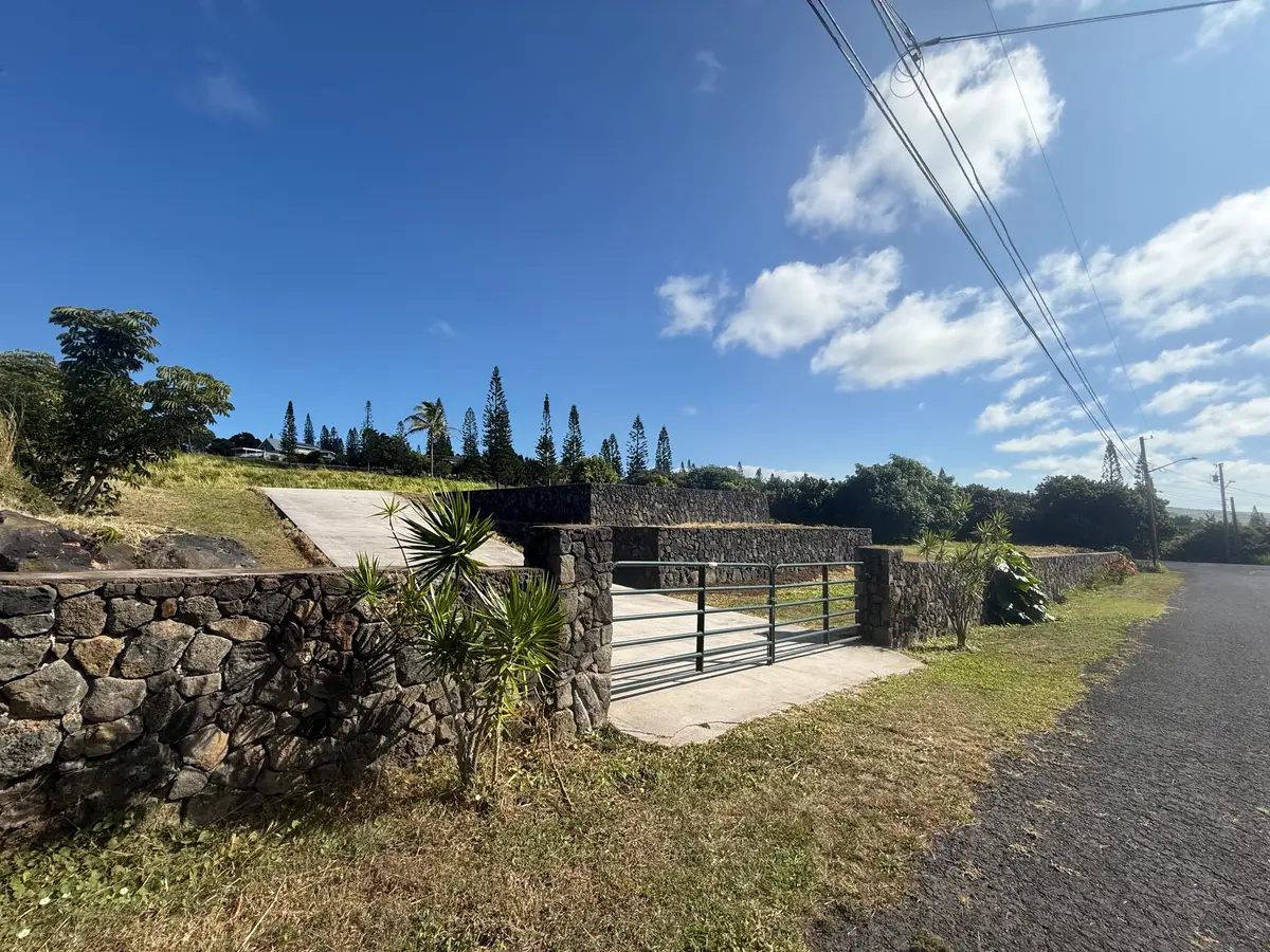 94-5799 Komo Hale Pl, Naalehu, HI 96772 - #1