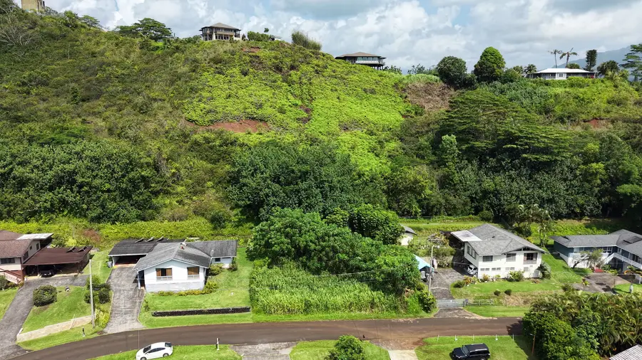 Aleo St, Kapaa, HI 96746 - #2