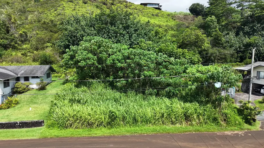 Aleo St, Kapaa, HI 96746 - #3