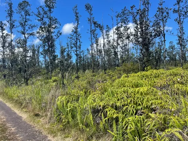 Road 6 (ooaa), Kurtistown, HI 96760 - #1