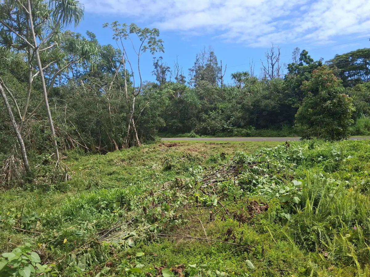 Moana St, Pahoa, HI 96778 - #1