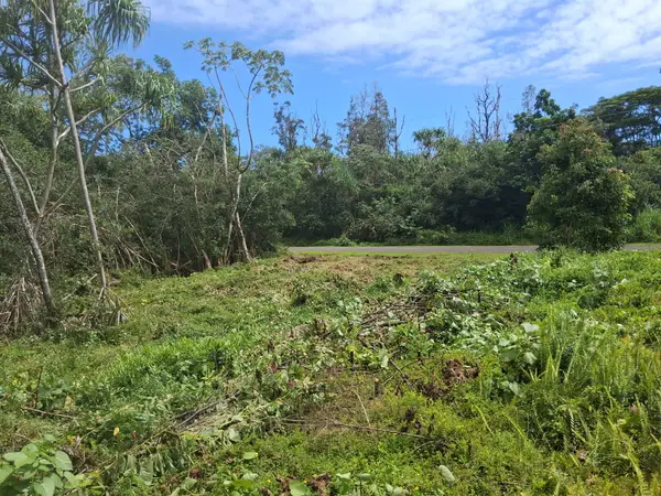 Moana St, Pahoa, HI 96778
