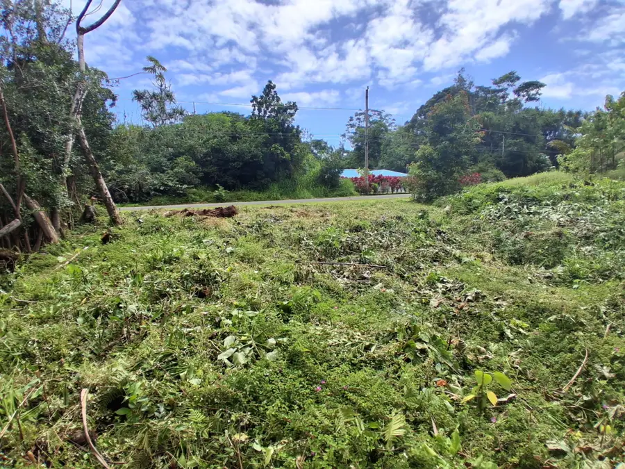 Moana St, Pahoa, HI 96778 - #3