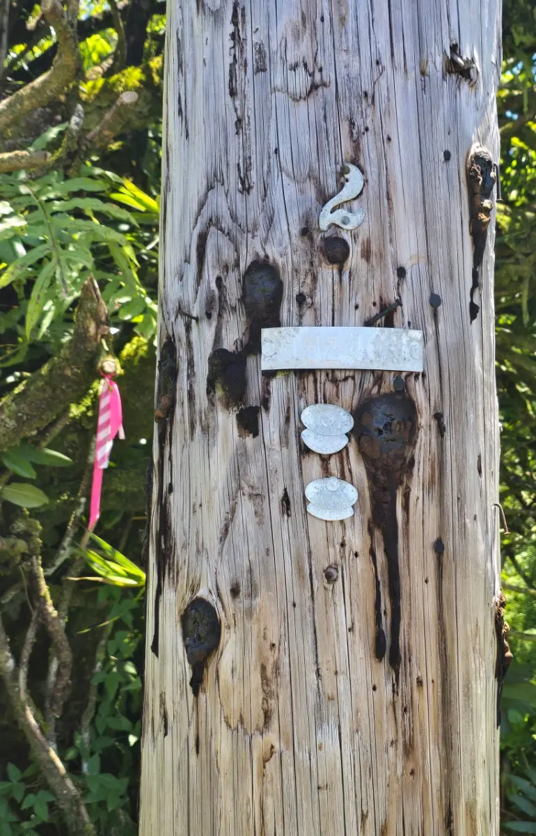 Silversword Dr, Pahoa, HI 96778 - #3