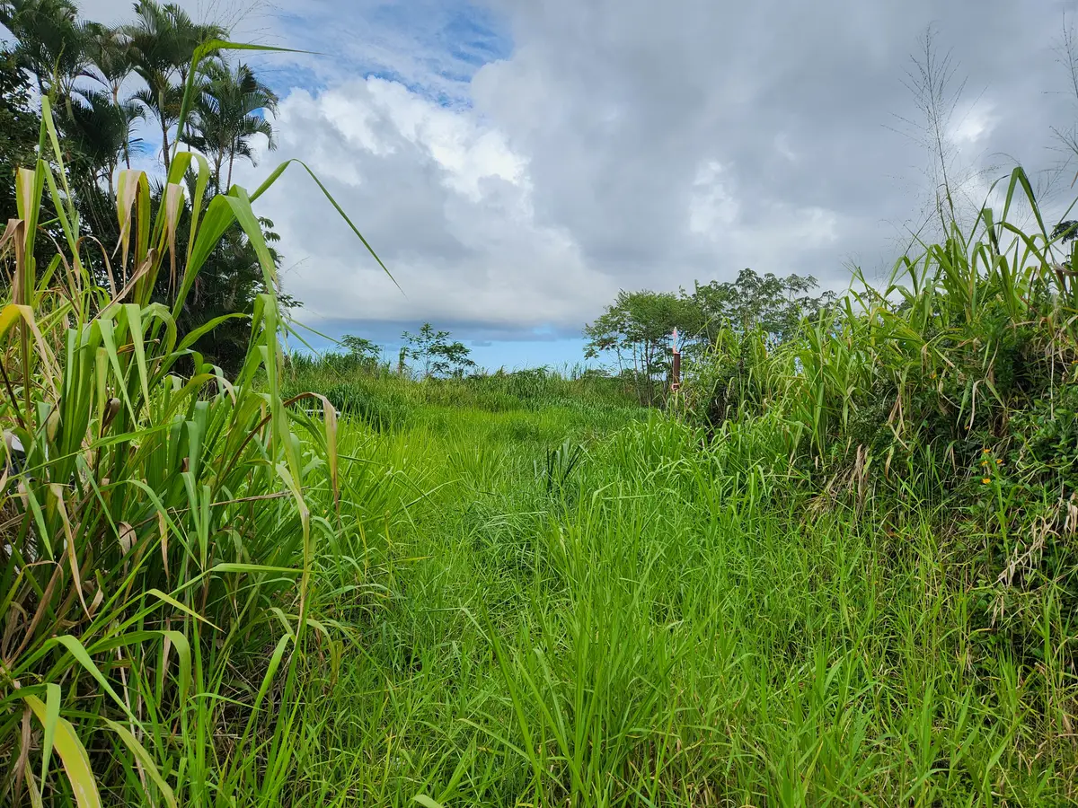 Address Withheld By Seller, Kurtistown, HI 96760 - #1