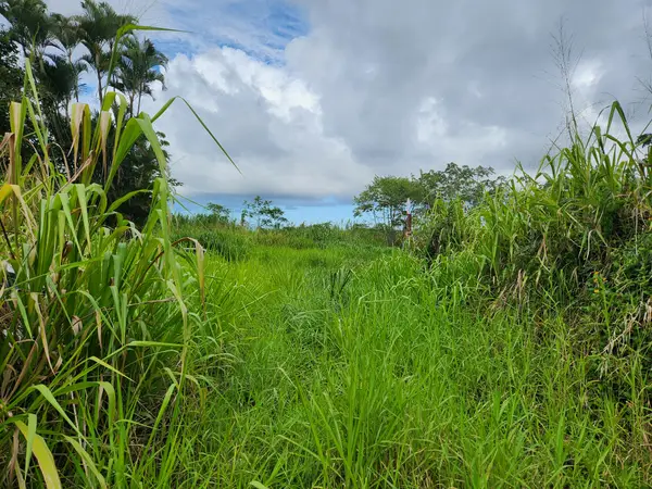 Address Withheld By Seller, Kurtistown, HI 96760
