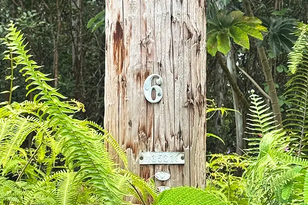 Lehua Rd, Pahoa, HI 96778 - #3