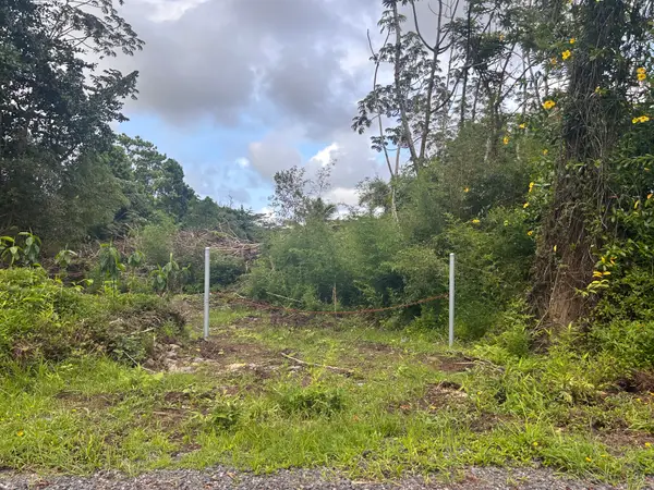 Railrd Rd, Keaau, HI 96749