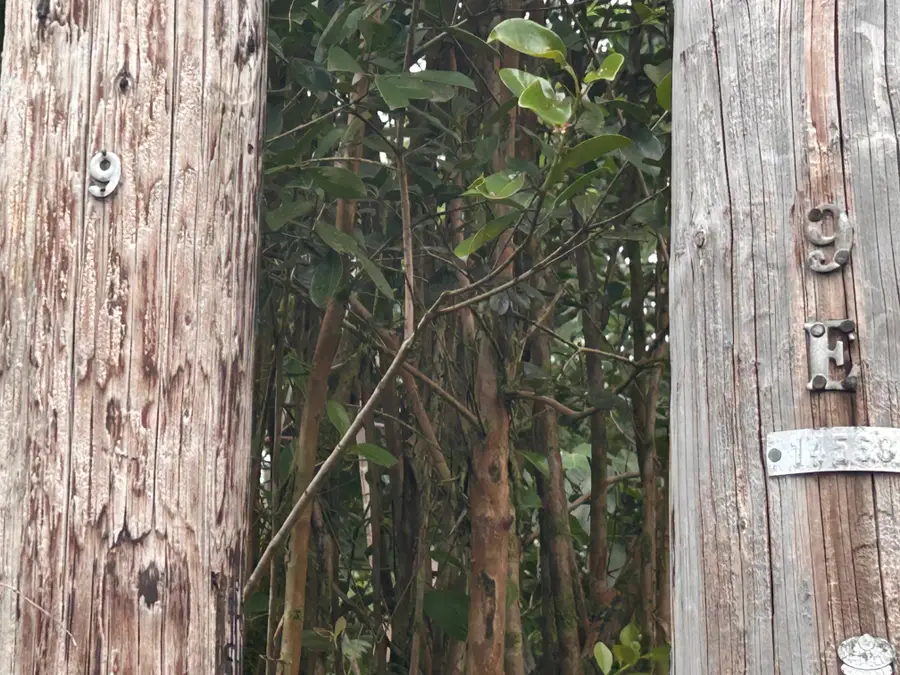 Railrd Rd, Keaau, HI 96749 - #3