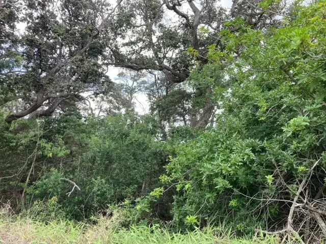 Keaka Pkwy, Ocean View, HI 96737 - #2